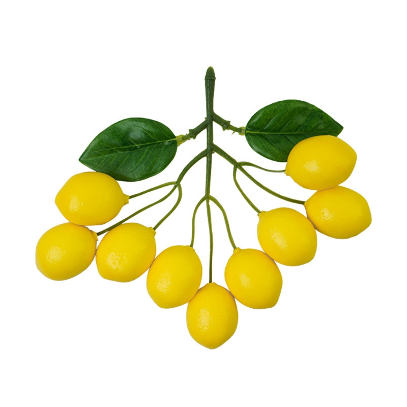 Nhân Tạo Chanh Nhánh Mô Phỏng  - đánh giá và giá Photography Yellow